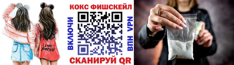 купить закладку  Кирс  Cocaine Fish Scale 