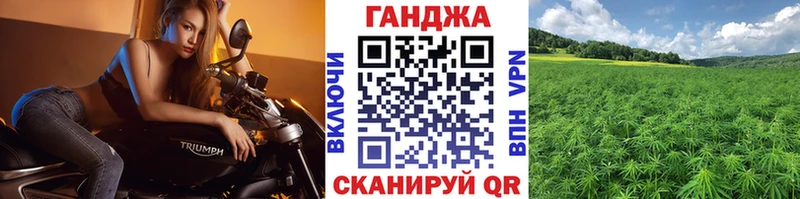 магазин продажи наркотиков  Кирс  Бошки марихуана план 